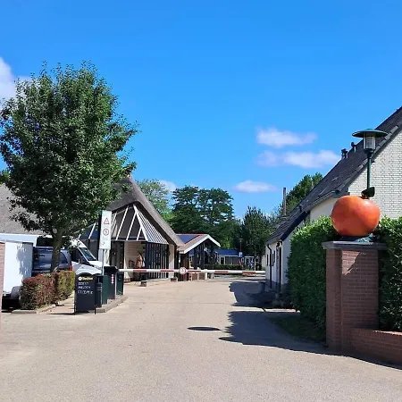 Holiday home Lessenaar 22 I 6 Persoons De Betuwe