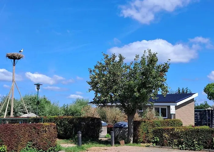 Holiday home Lessenaar 22 I 6 Persoons De Betuwe Zennewijnen